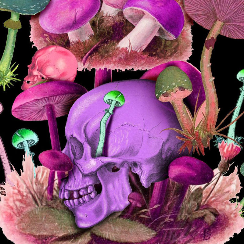 SKELESHROOMS T-Shirts DTG 