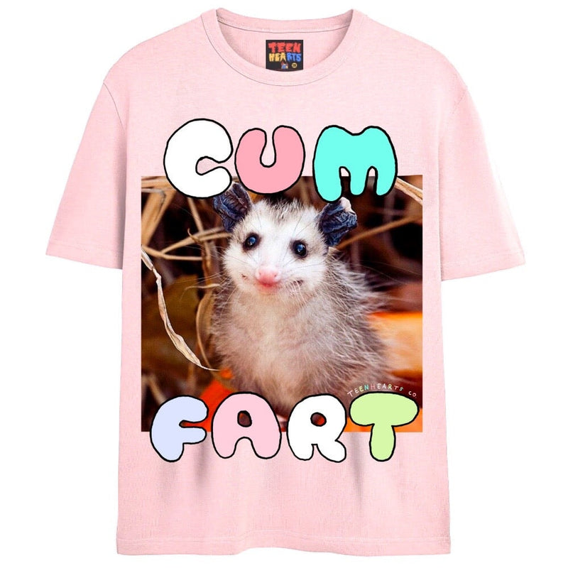 CUMFART T-Shirts DTG Small PINK 
