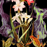 FROG FLOWER FLAME T-Shirts DTG 