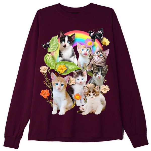 CUTE KITTENS T-Shirts DTG Small 